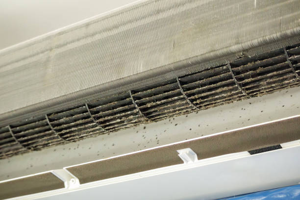 Home Air Vent Cleaning in Ladson, SC